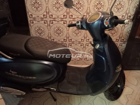 Moto au Maroc BECANE Ribiero 33 - 452053