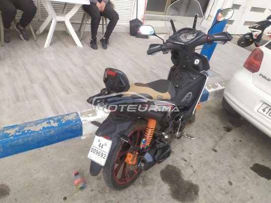 BECANE Ribiero 33 occasion  1202718