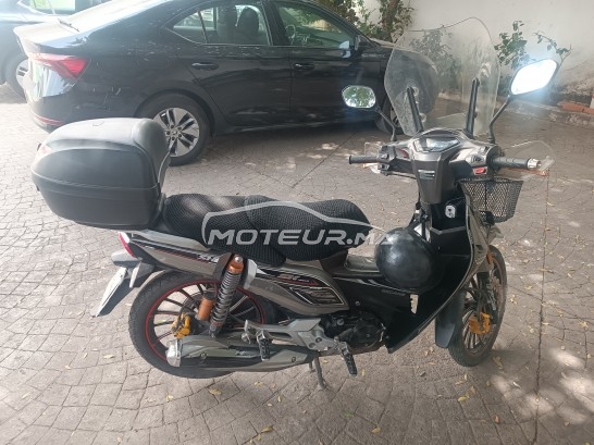 بيكاني ريبييرو 33 2019 مستعملة 2384825