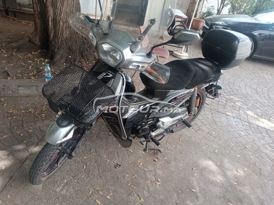 بيكاني ريبييرو 33 2019 مستعملة 2384824