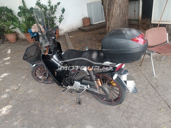 بيكاني ريبييرو 33 2019 مستعملة 2384827