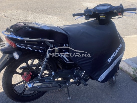 بيكاني ريبييرو 33 2023 مستعملة 1749136