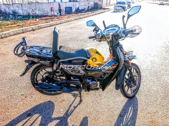 بيكاني ريبييرو 33 Ribiero 33 2024 مستعملة 2006571