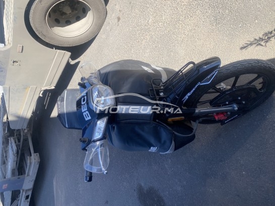 بيكاني ريبييرو 33 2023 مستعملة 1749137