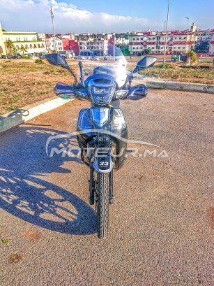 بيكاني ريبييرو 33 Ribiero 33 2024 مستعملة 2006570