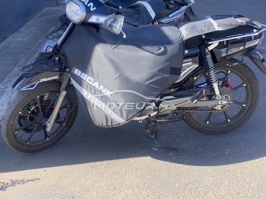 بيكاني ريبييرو 33 2023 مستعملة 1749140