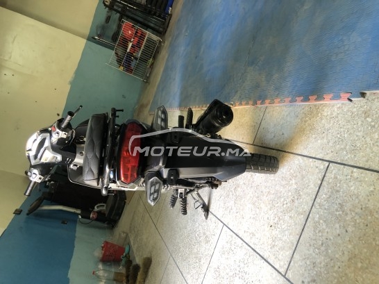 بيكاني ريبييرو 33 مستعملة 1787502