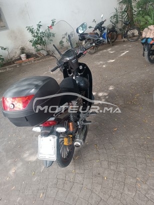 بيكاني ريبييرو 33 2019 مستعملة 2384822