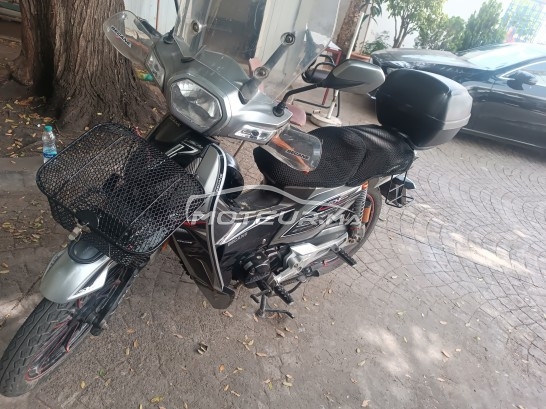 بيكاني ريبييرو 33 2019 مستعملة 2384828