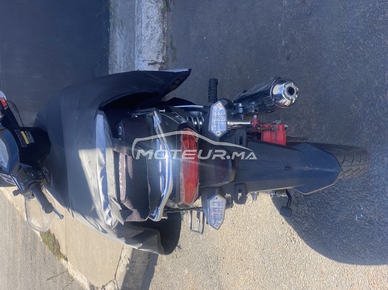 بيكاني ريبييرو 33 2023 مستعملة 1749139