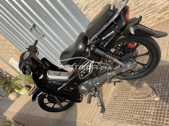 BECANE Ribiero 33 occasion  1261230