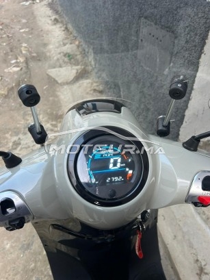 BECANE Super cub Florense super occasion  3428877