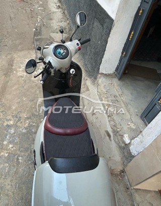 BECANE Super cub Florense super occasion  3428876