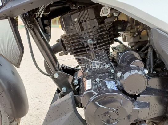 بيكير 150 2023 مستعملة 1789108