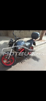 BENELLI Autre 2023 occasion  1931879