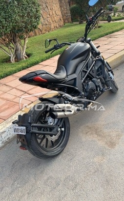 BENELLI 502c occasion  1328836