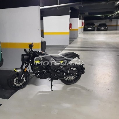 BENELLI Leoncino Leoncino 250 occasion  1822043