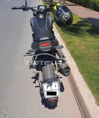 BENELLI Leoncino Leoncino 250 occasion  1822044