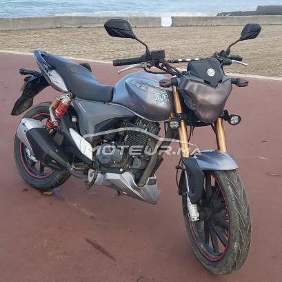 بينيلي فلكس مستعملة 1103954