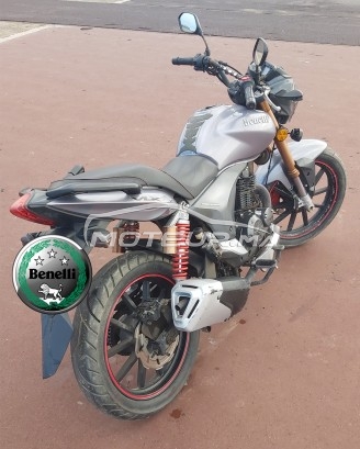 بينيلي فلكس مستعملة 1103953