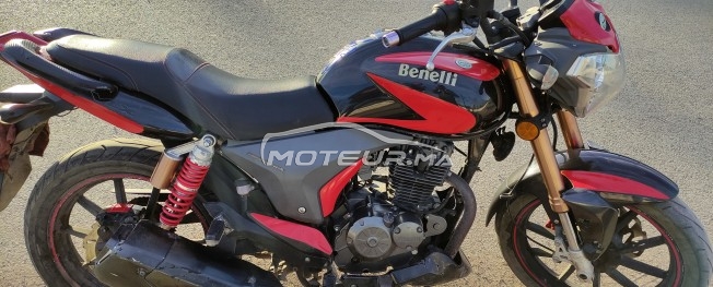 بينيلي فلكس مستعملة 1791332