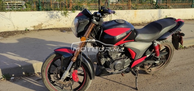 بينيلي فلكس مستعملة 1791331