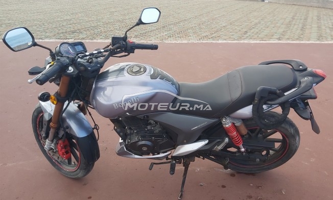 بينيلي فلكس مستعملة 1103951