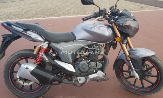 بينيلي فلكس مستعملة 1103952