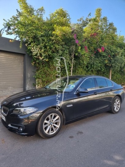 BMW Serie 5 520d occasion 1173517