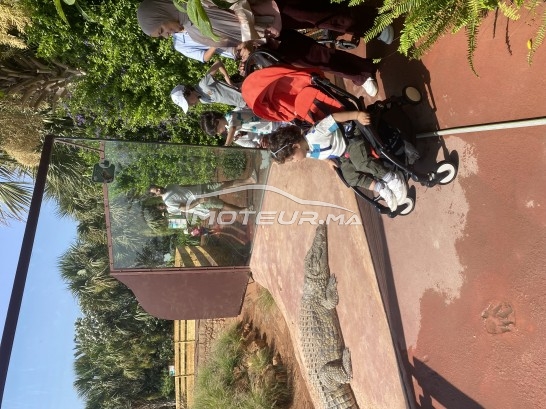 بي ام دبليو سيريي 5 Tdi مستعملة 2460449