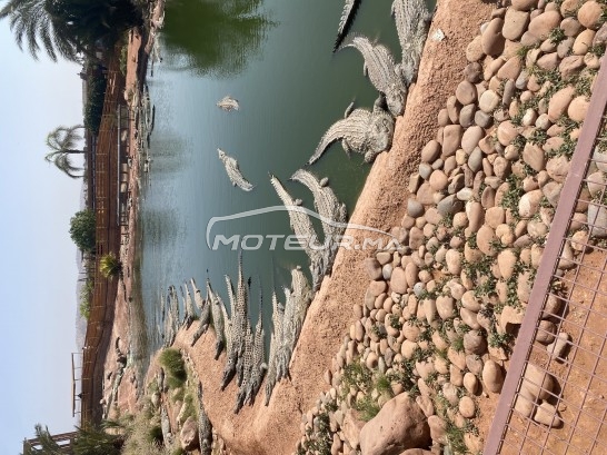 بي ام دبليو سيريي 5 Tdi مستعملة 2460447