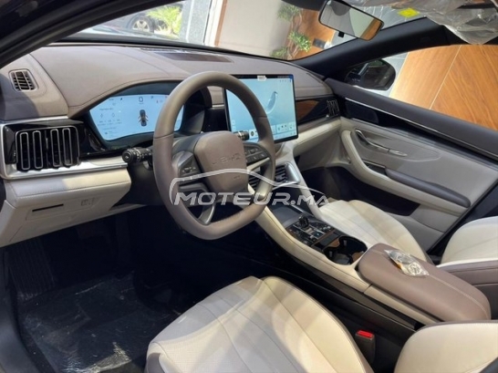 BYD Autre occasion 3372164