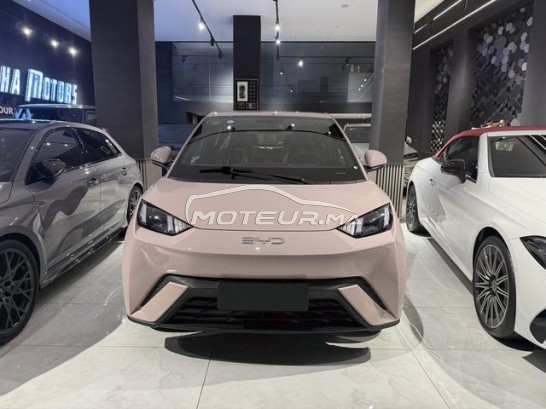 BYD Autre occasion 2915024