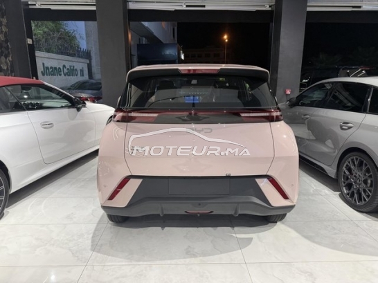 BYD Autre occasion 2915023