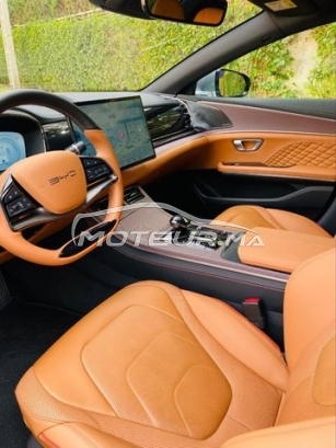 BYD Autre occasion 2806661