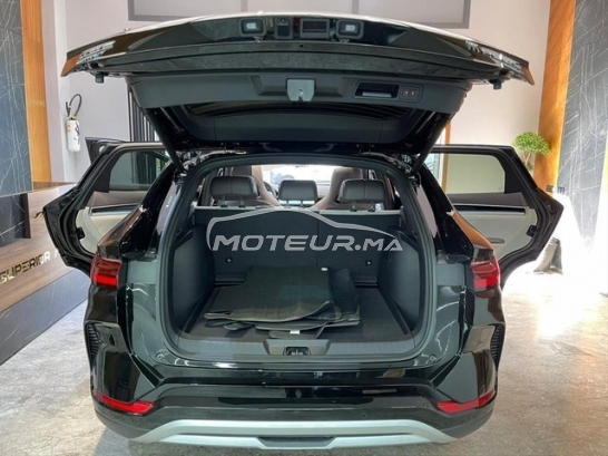 BYD Autre occasion 3372165