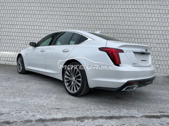 كاديلاك كت5 مستعملة 1137790