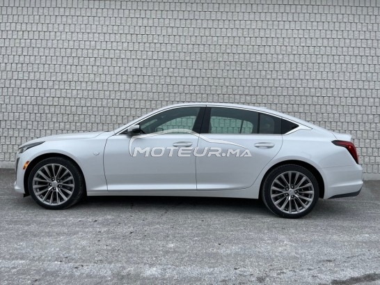 كاديلاك كت5 مستعملة 1137791