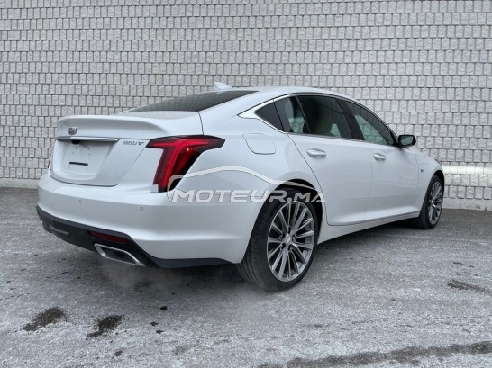 كاديلاك كت5 مستعملة 1137788