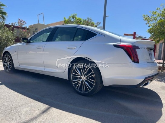 كاديلاك كت5 Luxury مستعملة 1717606