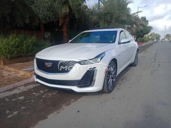 شراء السيارات المستعملة CADILLAC Ct5 في المغرب - 480843