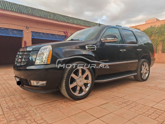 كاديلاك يسكالادي Hybrid platinum sport مستعملة 2155224