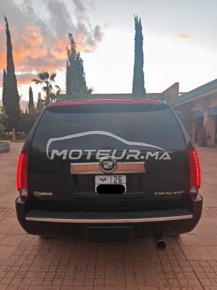 كاديلاك يسكالادي Hybrid platinum sport مستعملة 2155223