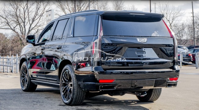 CADILLAC Escalade Platinium occasion 1138540