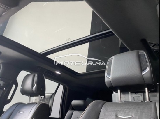 كاديلاك يسكالادي مستعملة 2582644