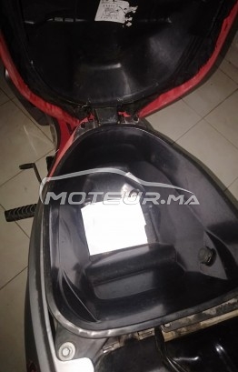 CAMEL Shark s50 occasion  1466899