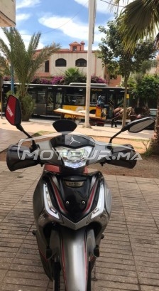 CAMEL Shark s50 occasion  1466896