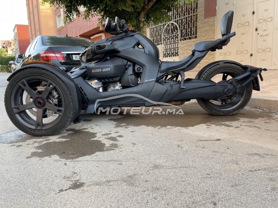 كان-ام ريكير 900 مستعملة 1712942