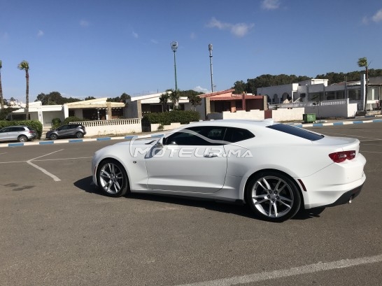 شيفروليه كامارو مستعملة 1161342