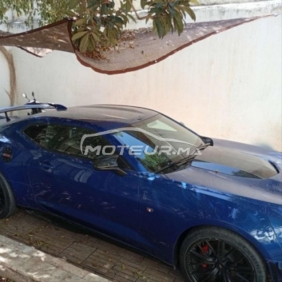 شيفروليه كامارو مستعملة 2571077